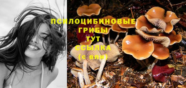 a pvp Белоозёрский