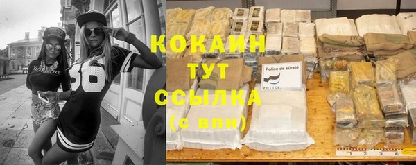 твердый Бронницы