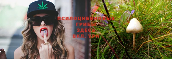 метадон Бородино