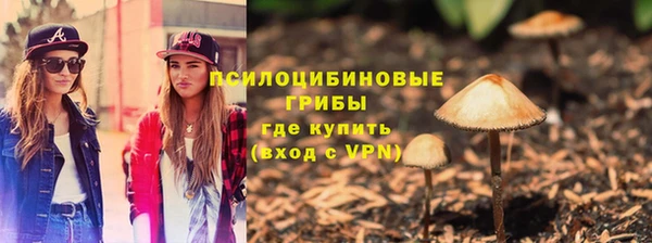 твердый Бронницы