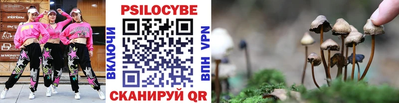Галлюциногенные грибы GOLDEN TEACHER ссылка на мегу как войти Дальнегорск